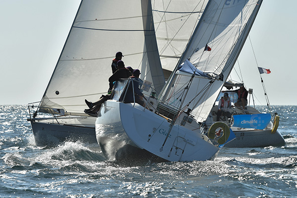 Voiles du froid regatta