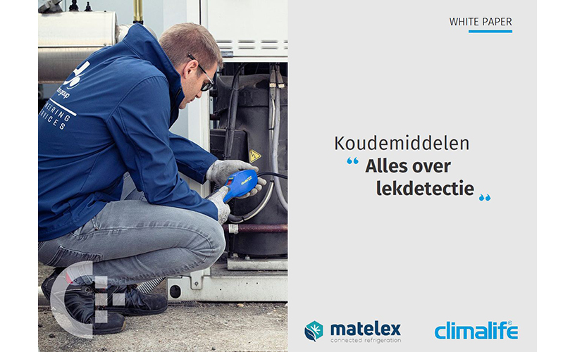 White paper lekdetectie